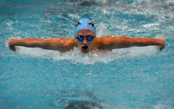 jackdswim2lr.jpg