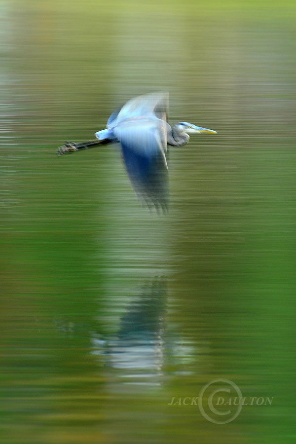 dsc8569jdalrc2.jpg