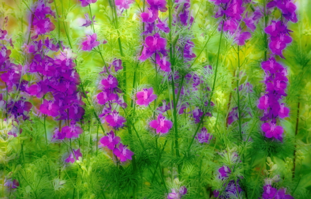 purplegreensandwich.jpg